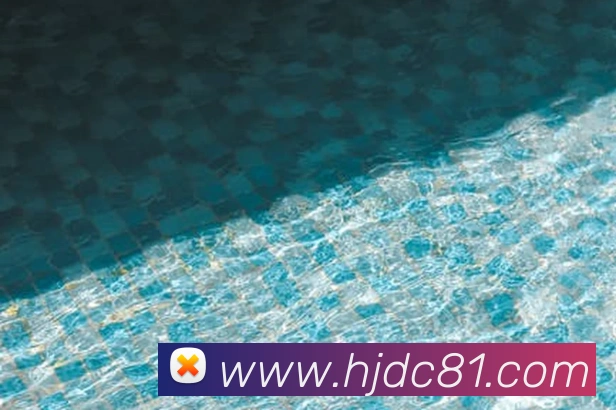 皇家赌场hjdc服务体系